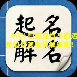 🦟 想知道肖马的运势如何超准详解来啦！